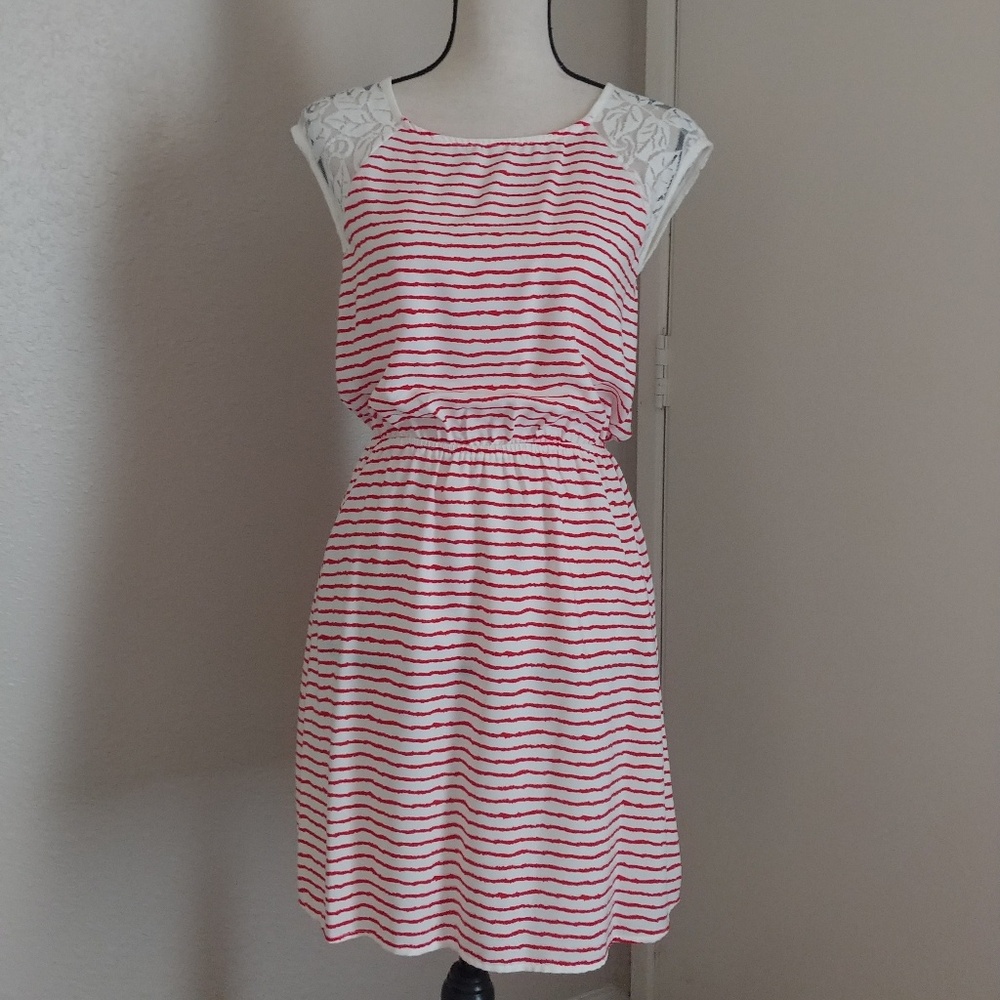 Cute dress with lace sleeves and back NWOT